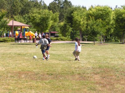 ./2005/EMMMS/thumbEMMMS